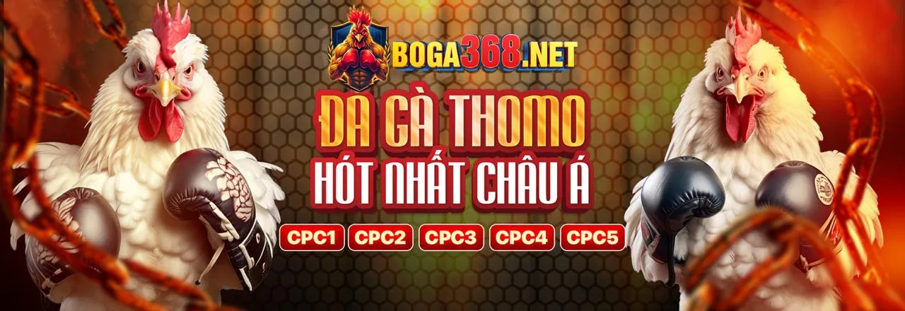 Hướng dẫn từng bước tải ứng dụng 888top cho iOS