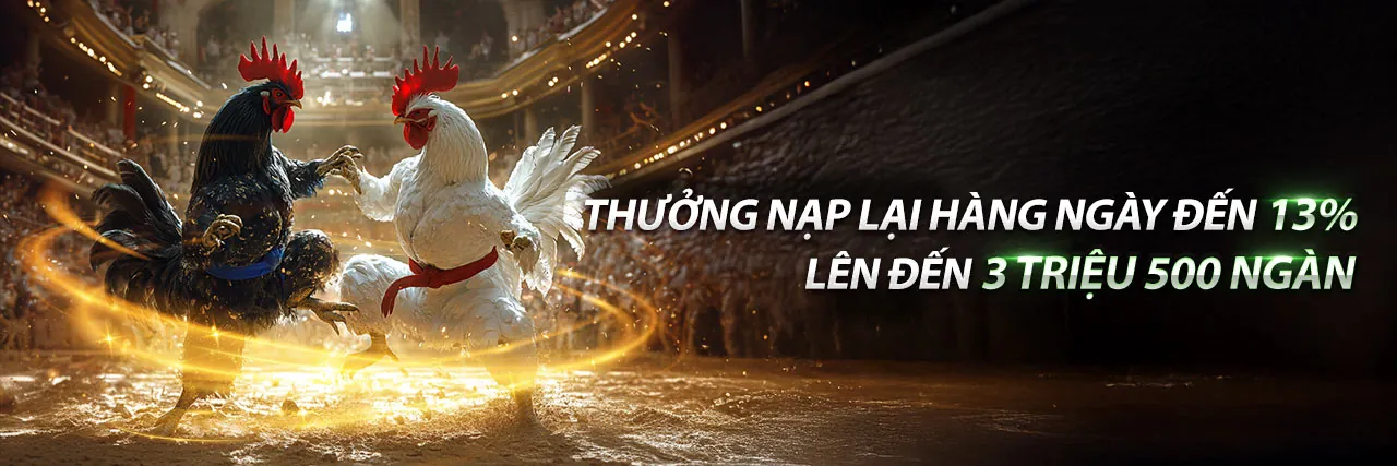Sân Đấu Đá Gà Trực Tuyến Hấp Dẫn tại 888top