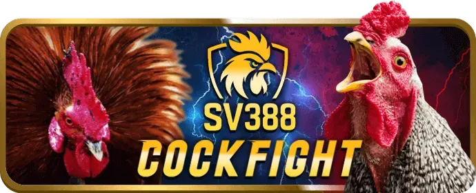 Cá cược thể thao 888top